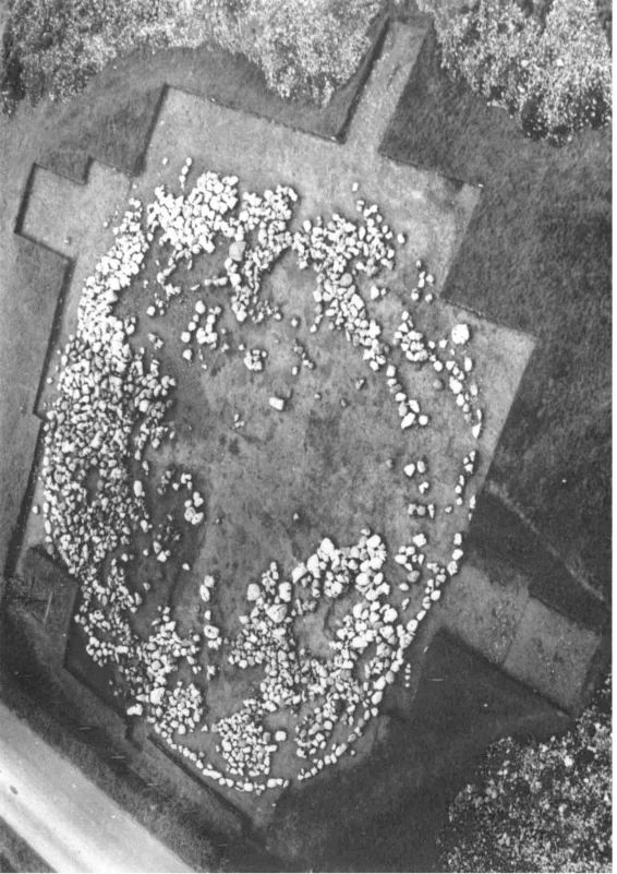 Aerial photograph of the excavation site